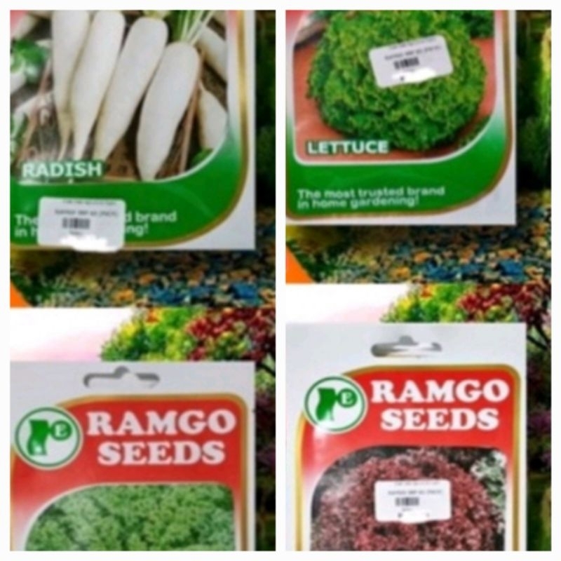 RAMGO SEED PACK - RADISH / LETTUCE / CURLY KALE SEEDS | Shopee Philippines