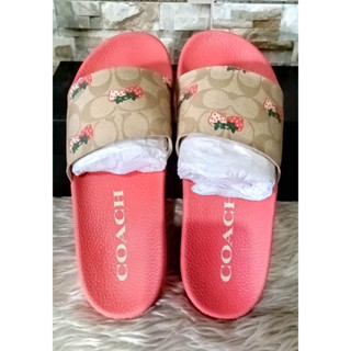 Coach best sale slides sale