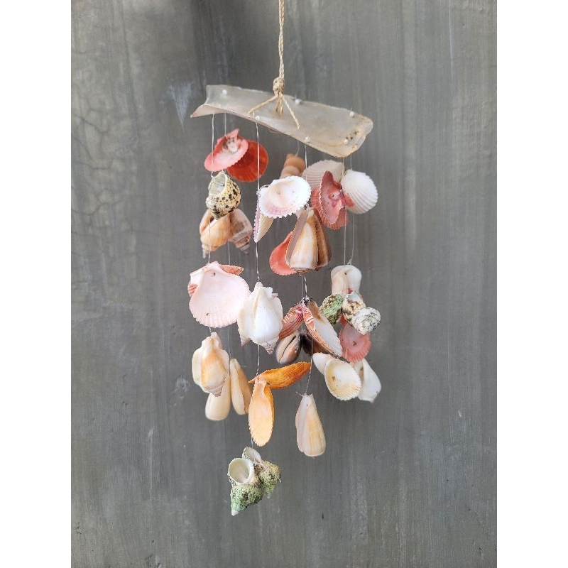 Capiz Assorted Shell Chime | Shopee Philippines