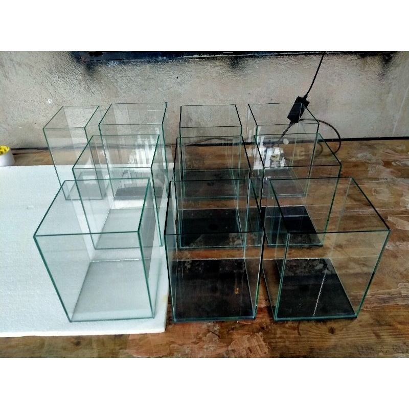 Betta Tank Aquarium 6x6x8 inches | Shopee Philippines