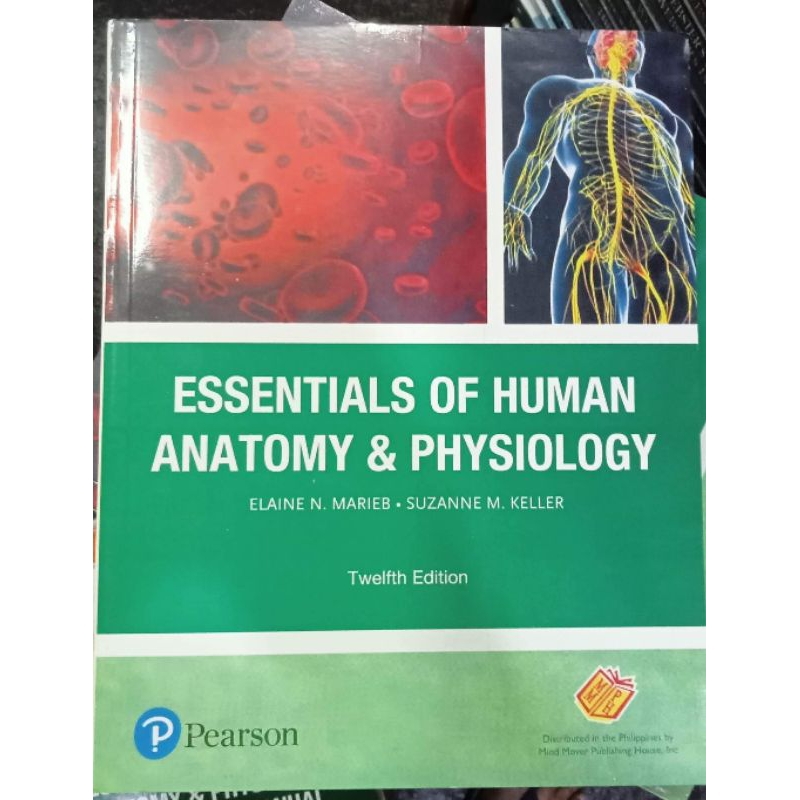 essential of human anatomy and physiology by marieb 12 the edition set