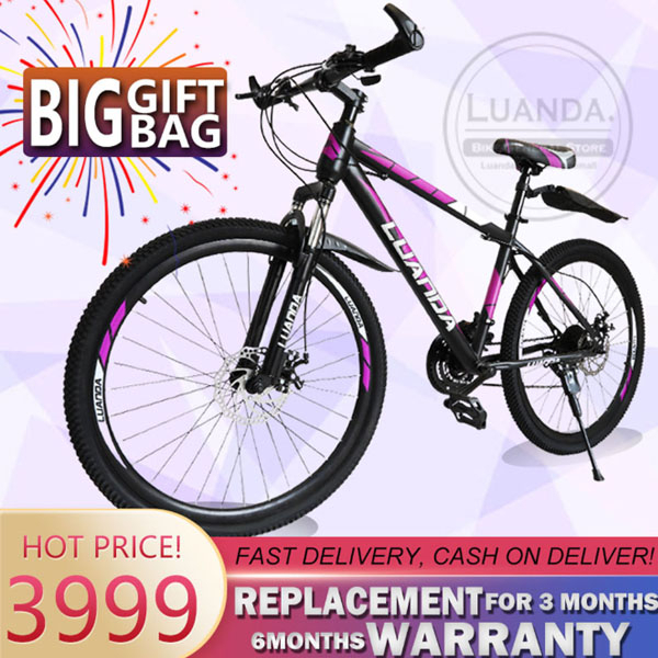 Mountain cheap bike price