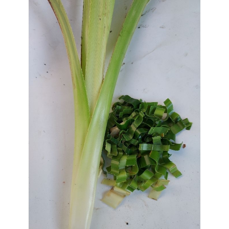 PANDAN LALAKI FRESH LEAVES 8PCS Shopee Philippines