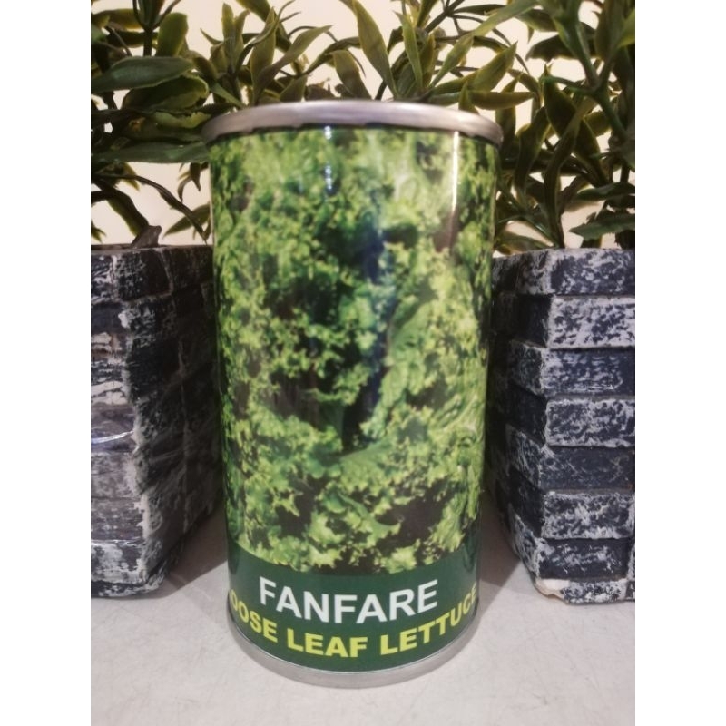 Fanfare Loose Leaf Lettuce Condor(21.400seeds) Shopee Philippines
