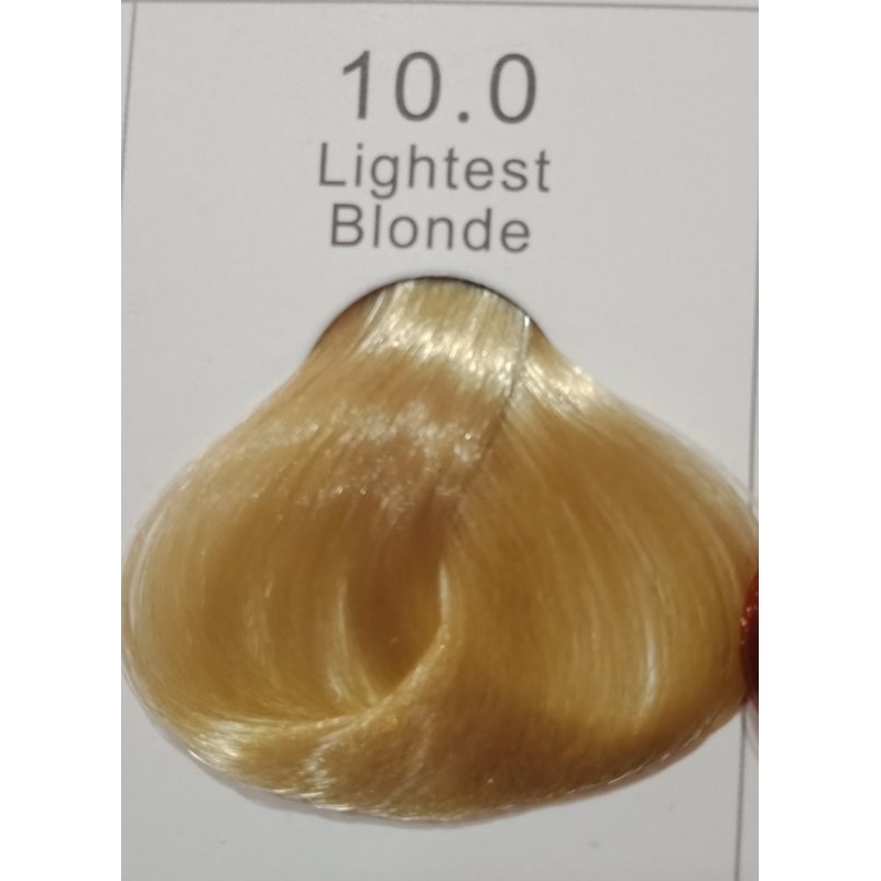 ICON Hair Coloring 100ml. | Shopee Philippines
