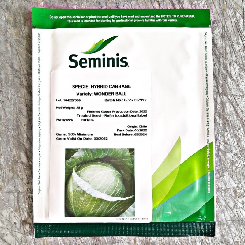 WONDER BALL F1 HYBRID CABBAGE SEEDS (25 GRAMS) WONDERBALL by SEMINIS