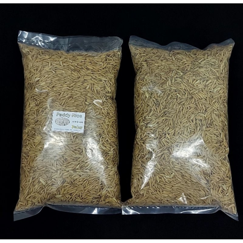 Palay Bird Seeds / Rice with Outer Shell for Birds 500 grams | Shopee ...