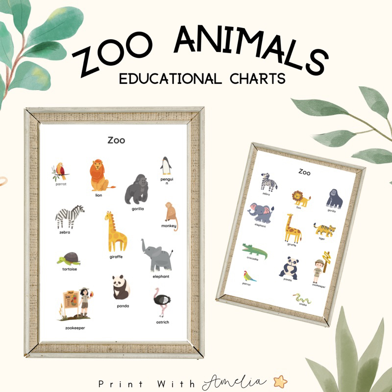 Zoo Animals: A4 Laminated Educational Wall Charts, Posters, For 