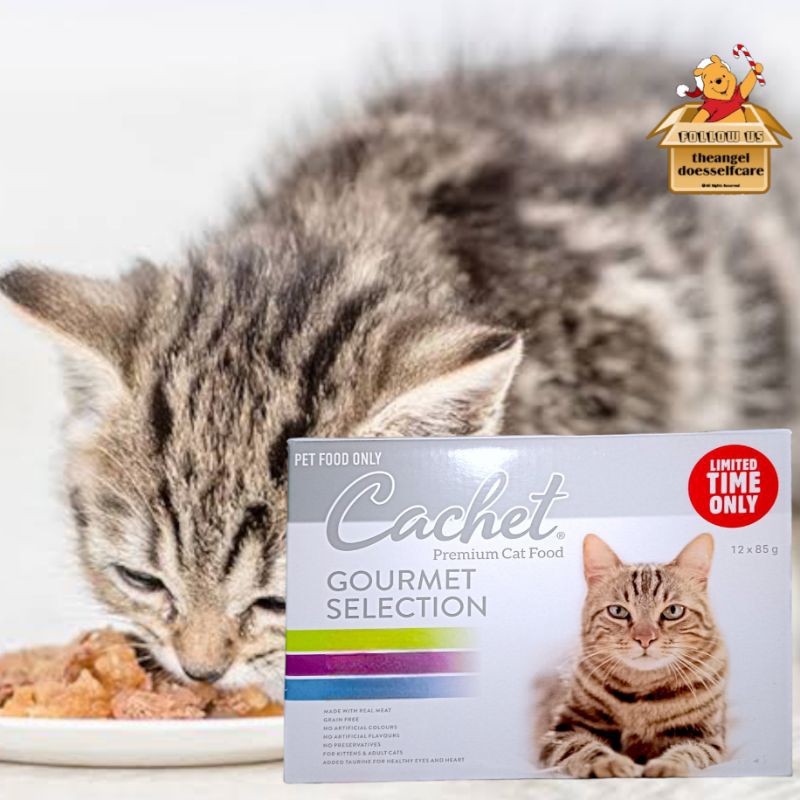 Aldi cachet shop cat food