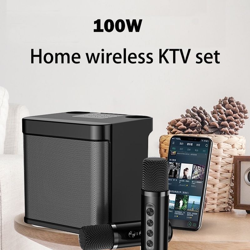 Wireless Bluetooth Dual Microphone Karaoke Speaker 3D Stereo Amplifier ...