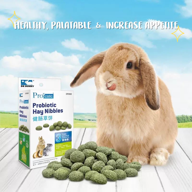 Stunning Hay For Rabbits With Obstructions Due To Digestive Issues image
