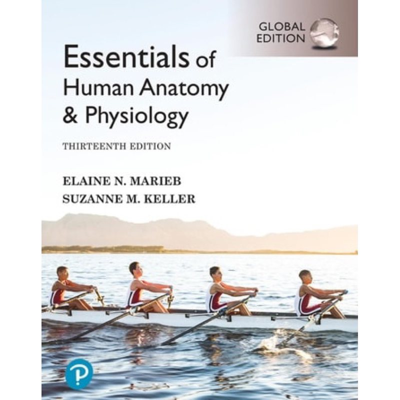 Essentials Of Human And Anatomy And Physiology MARIEB Booklet | Shopee ...