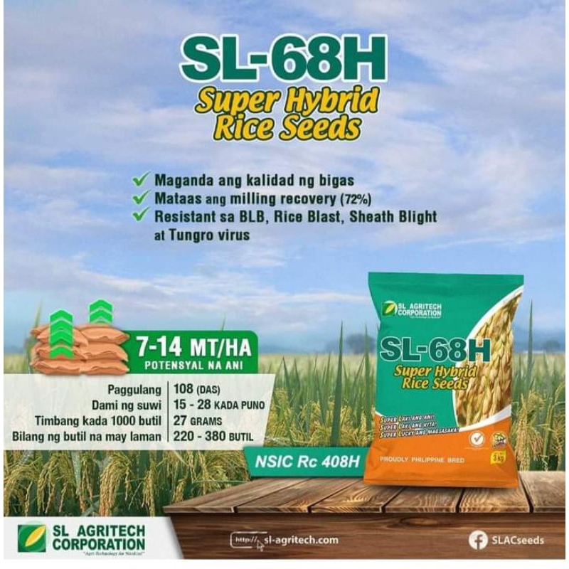 Sl 68h Super Hybrid Rice Seeds Date Tested August 2024 Shopee Philippines 3534