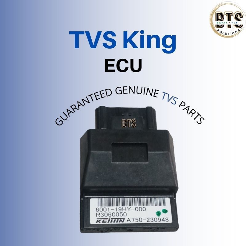 TVS King ECU Guaranteed Genuine Tuk Tuk Electronic Central Unit 3 ...