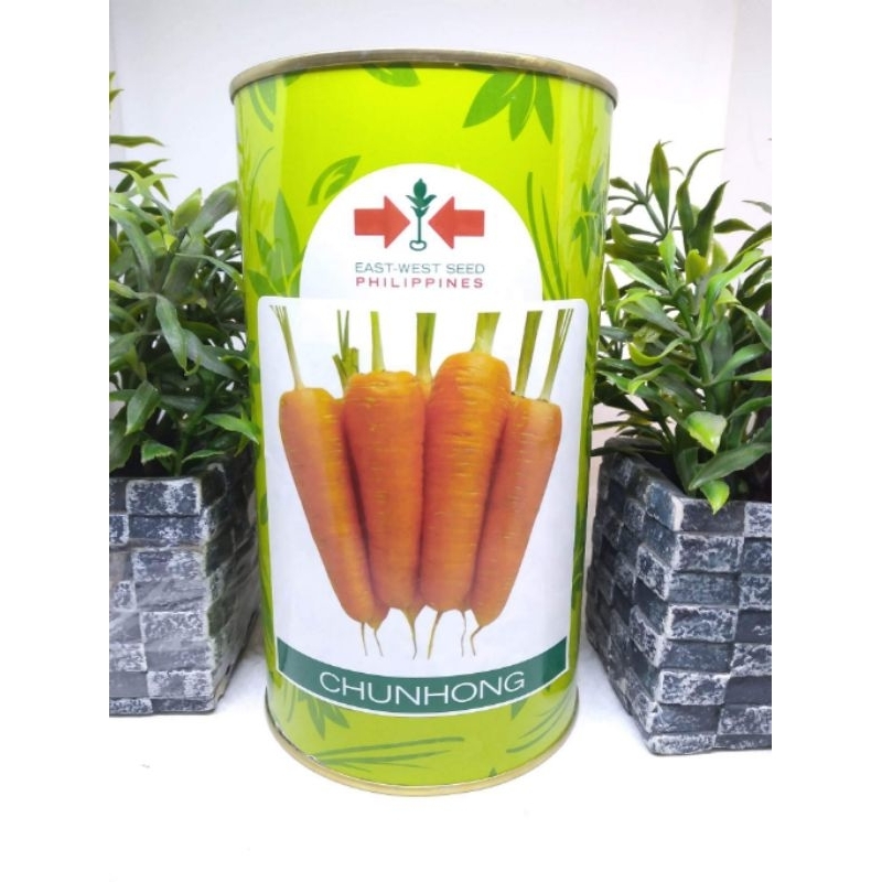 Chunhong Carrots East West Seeds (400g) | Shopee Philippines