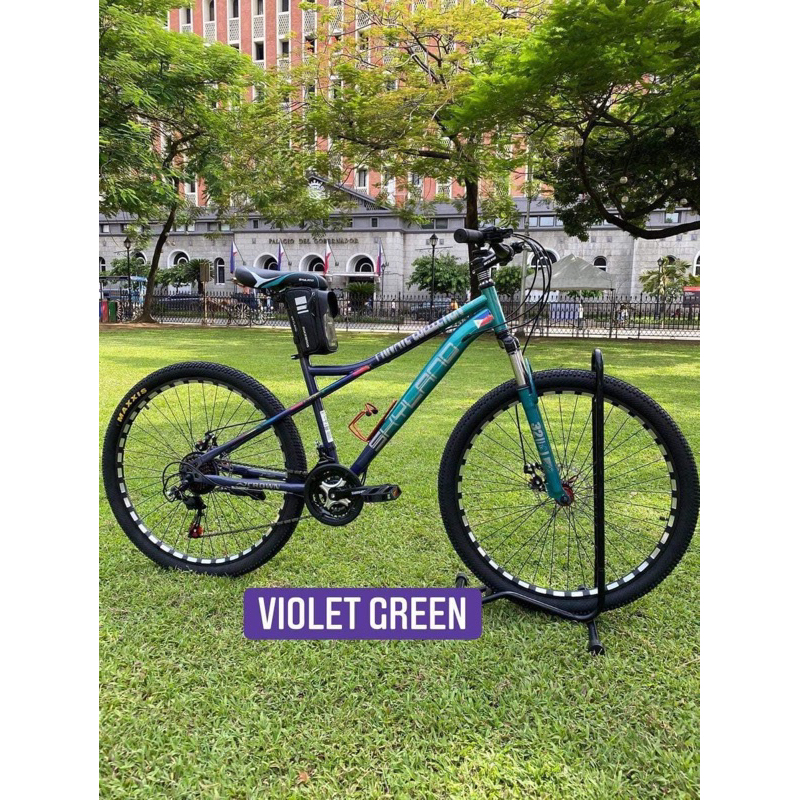 Skyland Steel 29er SIZE 29