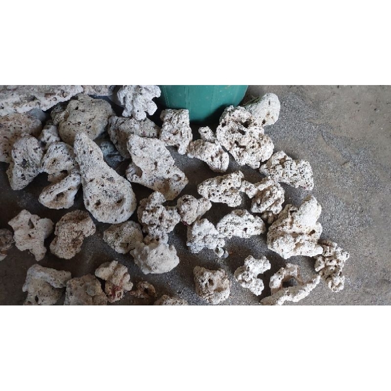 BUY 1kg Take 1/2 kg Dry Rocks- Per Kilo for saltwater aquascape ...