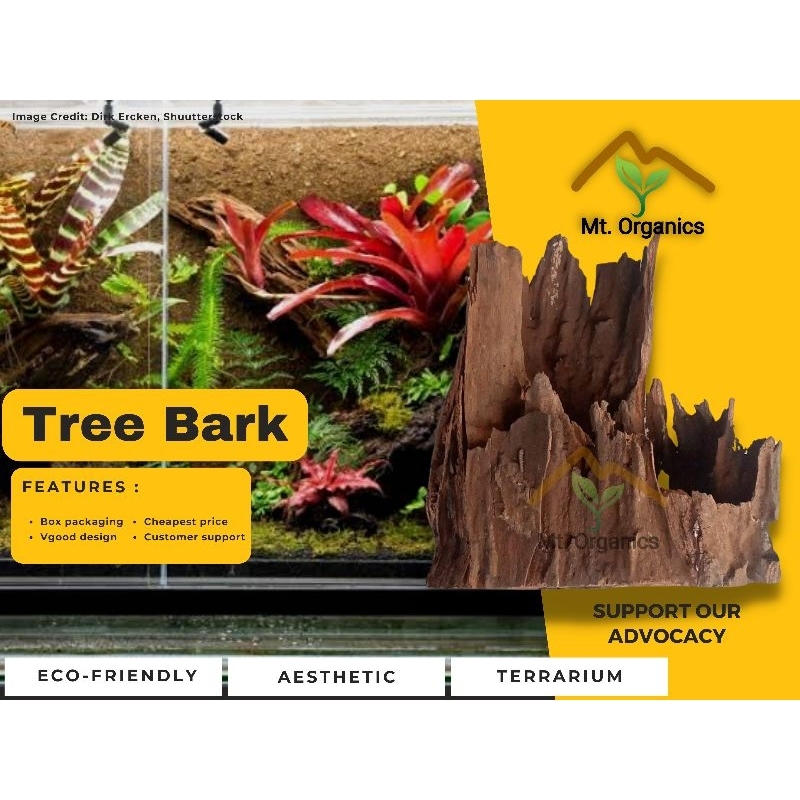 Tree Bark Decoration for your Paludarium, Terrarium, Riparium, Aquarium