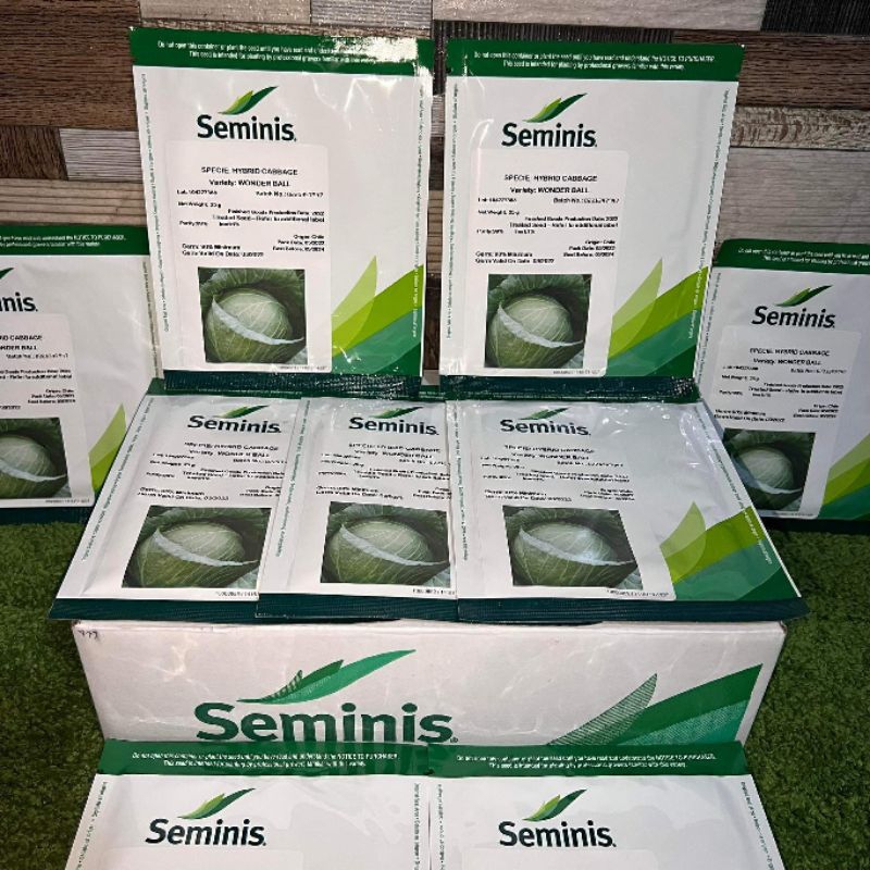 SEMINIS WONDERBALL HYBRID CABBAGE VEGETABLE SEEDS 25g Shopee Philippines
