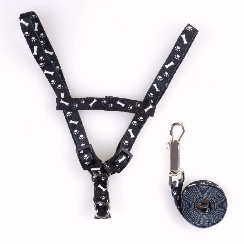 Cat leash harness cat collar leash set cat leash for Cat puppy leash