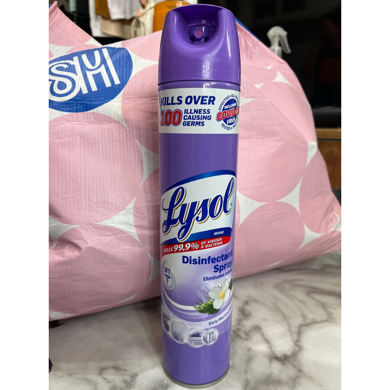 Lysol Disinfectant Spray 170g 340g 510g March 2025 Exp Shopee Philippines 1171