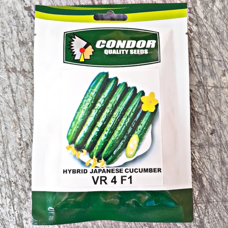 VR 4 F1 HYBRID JAPANESE CUCUMBER SEEDS (1000 SEEDS) VR4 by CONDOR SEEDS ...