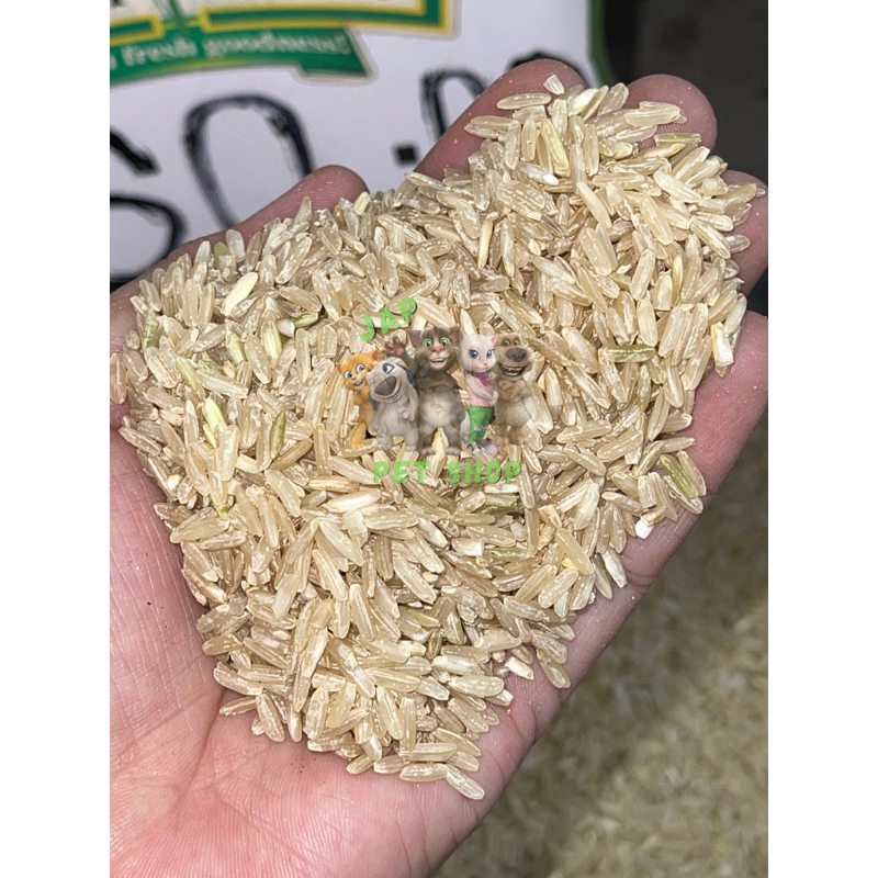 Organic Rice Red, Black, Brown, Malunggay | Japanese Rice 1kg. | Shopee ...