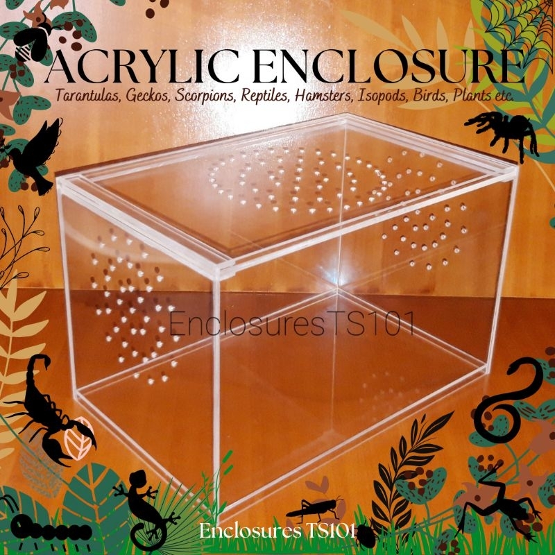 Clear Acrylic Enclosure 12x8 for Tarantula, Scorpions, Reptiles ...