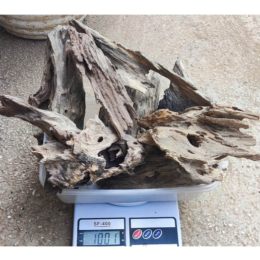 Driftwood Random 3 to 12 inches Shopee Philippines