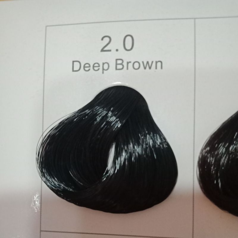 ICON Hair Coloring 100ml. | Shopee Philippines