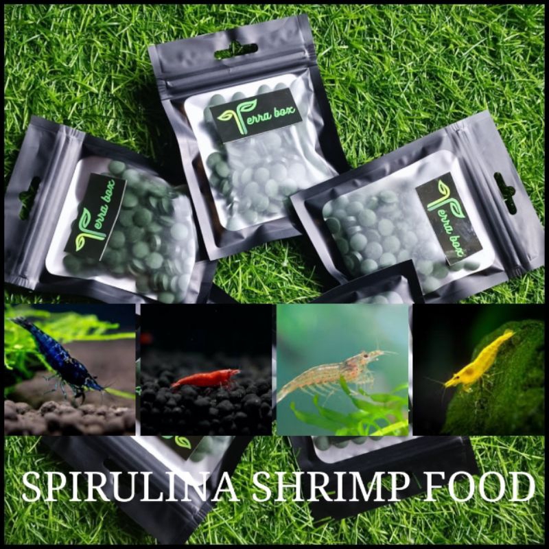 SPIRULINA FISH FOODS (FISH, SNAIL, SHRIMP) Shopee Philippines
