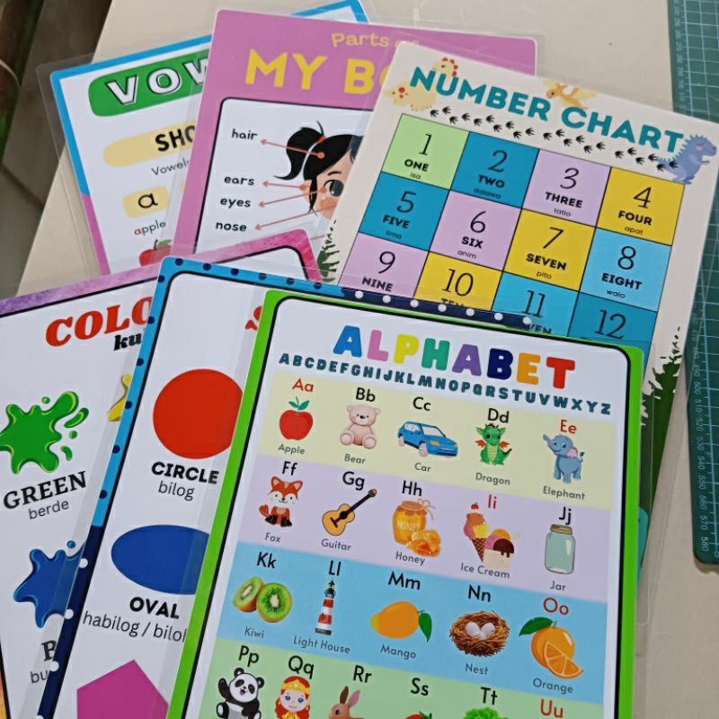 EDUCATIONAL CHART LAMINATED A4 size | Shopee Philippines
