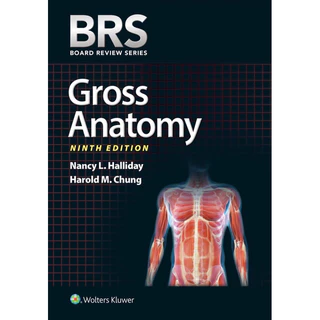 BRS Gross Anatomy 第9版 BRS Gross Anatomy (Board Review Series) by Nancy L. Halliday