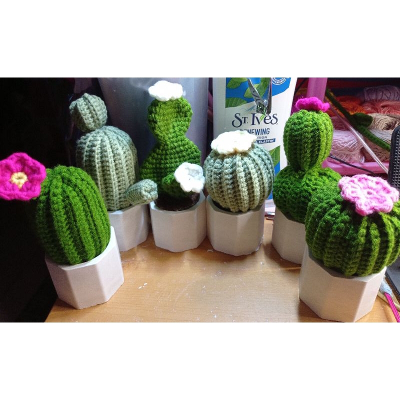 Mitch Cactus crochet (1piece)sold per piece.. Shopee Philippines