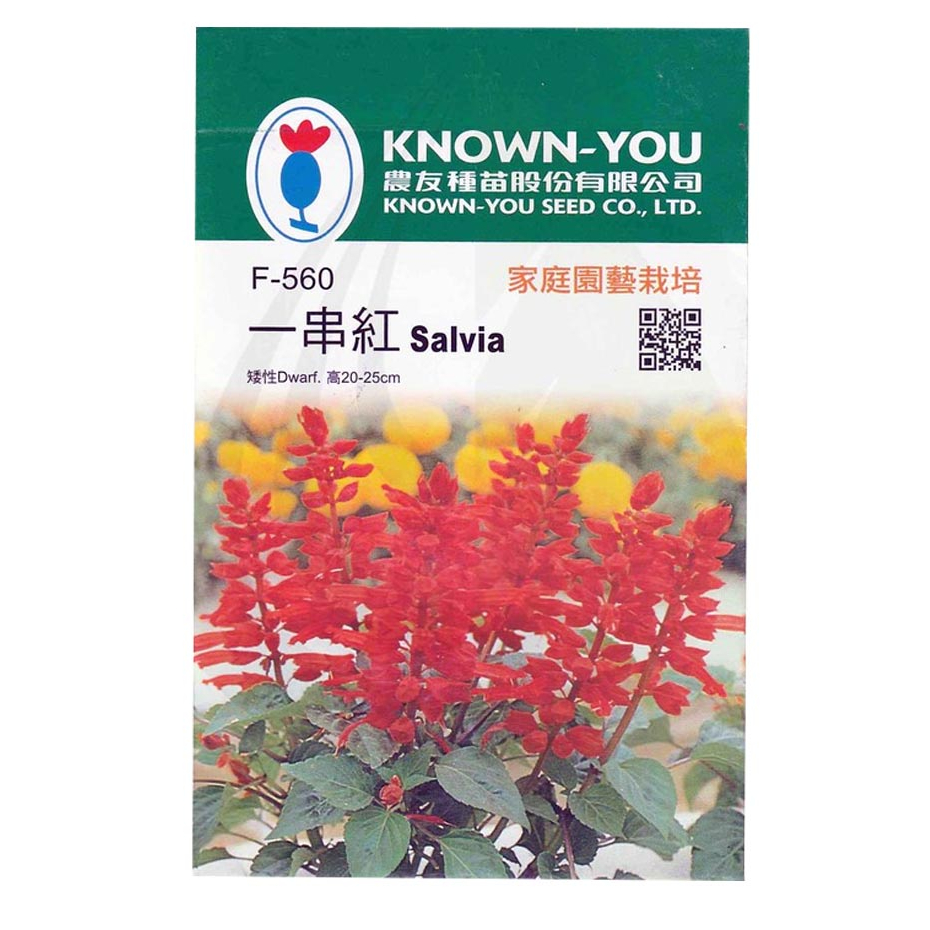 Known You Flower Seeds Salvia Dwarf Red F-560 S3 GW_S3 | Shopee Philippines