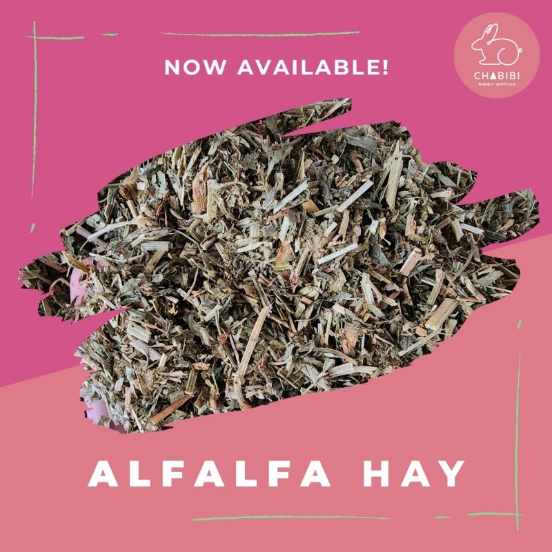PREMIUM ALFALFA HAY 1kg Shopee Philippines