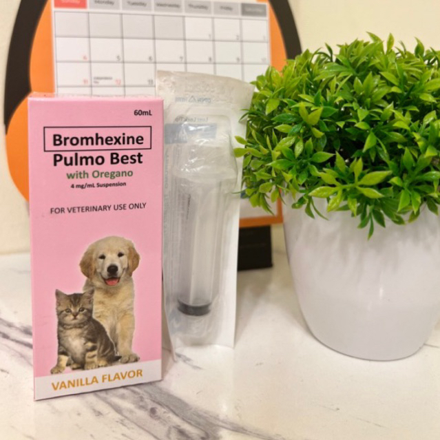 With Free Syringe !!! Pawell Bromhexine Suspension with Oregano 60mL