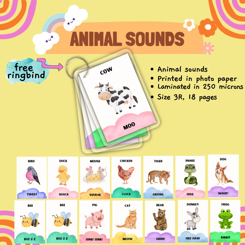 Animal names educational laminated flashcards for toddlers Shopee