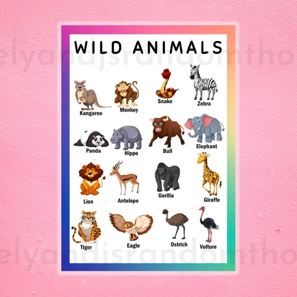 Laminated Charts Wild Animals Educational Charts A4 size | Shopee ...