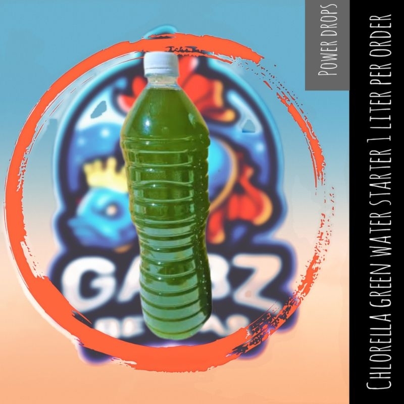Chlorella green water starter 1 liter (per order) Shopee Philippines