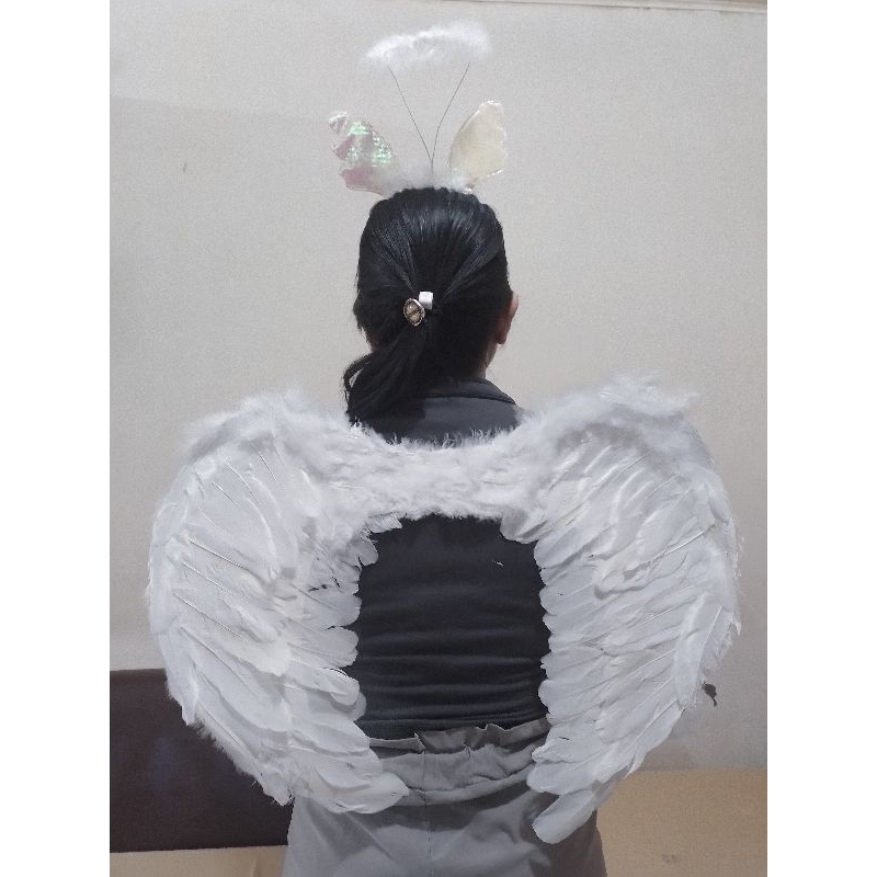 ANGEL WINGS COSTUMES Shopee Philippines