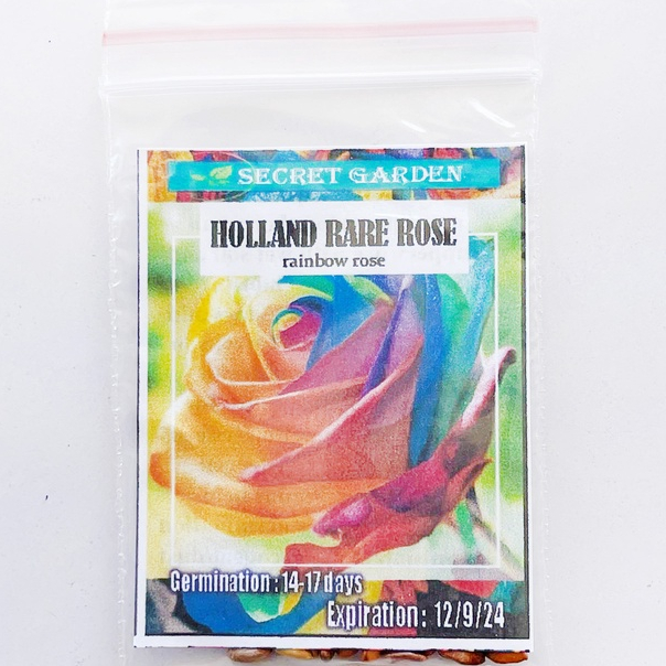 Holland rare rainbow rose Seeds | Shopee Philippines