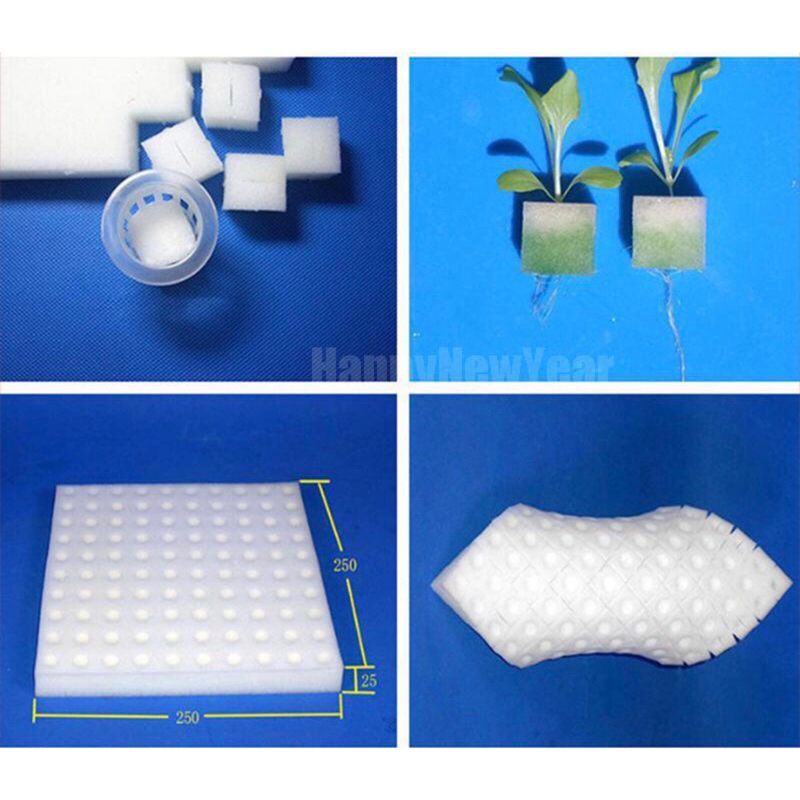 Horticulture/ Hydroponics Foam (100cubes) Shopee Philippines