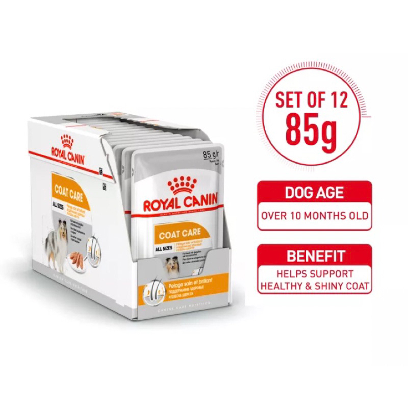 Royal Canin Coat Care Wet Dog Food 1 box (12pcs x85g) Shopee Philippines