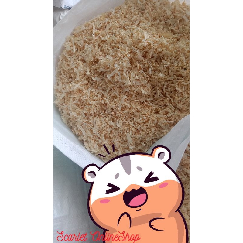 Kusot For Hamster ( Bistay ) 1kg | Shopee Philippines