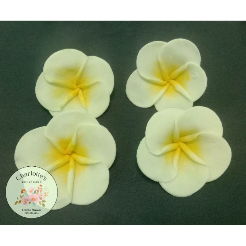 EDIBLE PLUMERIA/FRANGIPANIS CAKE TOPPER (1pc) Shopee Philippines