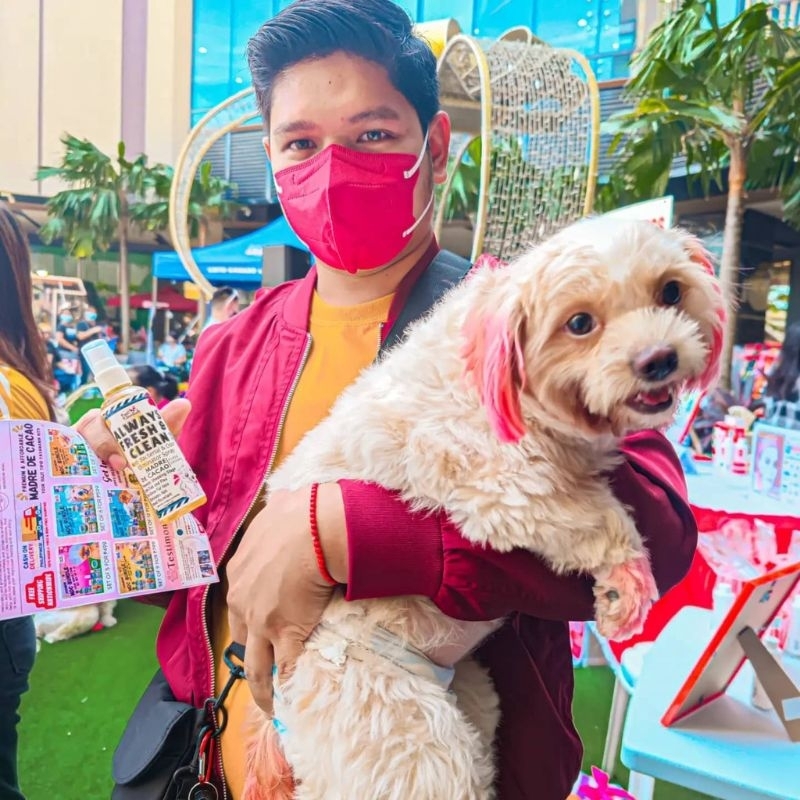 DISINFECTANT PAW WASHER PAW CLEANER DOG ODOR ELIMINATOR Shopee