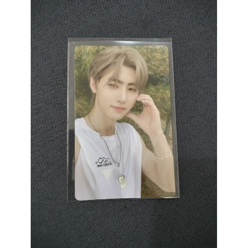 Official Enhypen Manifesto Weverse Version Photocards | Shopee Philippines