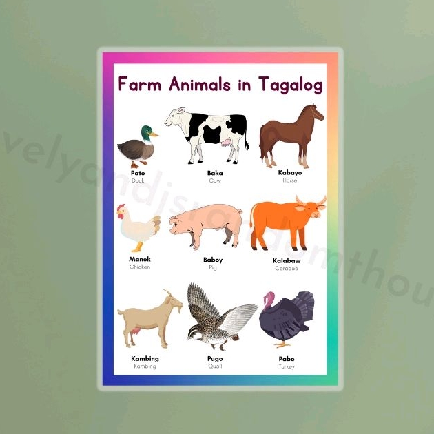 Laminated Charts Farm Animals Tagalog Educational Charts A4 size