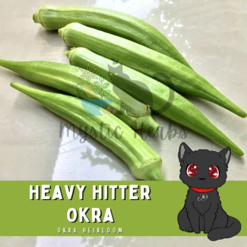 Heavy Hitter Okra Seeds (Mystic Herbs) Shopee Philippines
